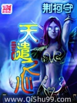 天谴之心小说