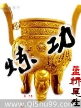 炼功小说