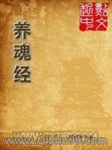 养魂经小说