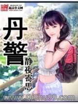 丹警小说