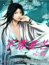 不落星芒小说