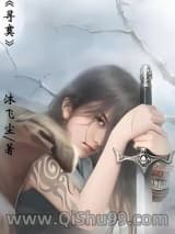 寻寞小说