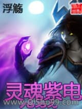 灵魂紫电小说