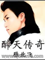 醉天传奇小说