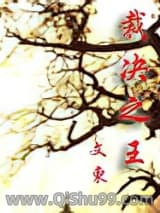 裁决之王小说