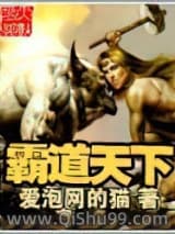 霸道天下小说