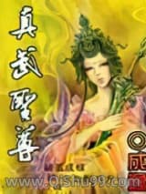 真武圣尊小说