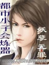 都市小子会炼器小说
