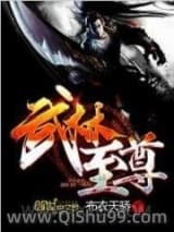 武林至尊小说