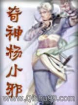 奇侠杨小邪小说