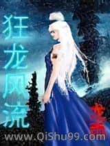 狂龙风流小说