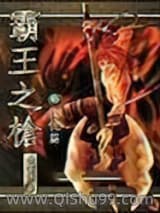 霸王之枪小说
