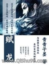 赋龙小说