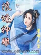 浪迹神雕小说