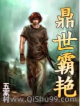 鼎世霸艳小说