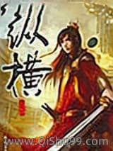 纵横小说