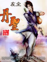 丹圣小说