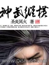 神武纵横小说