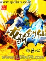 龙骑剑仙小说