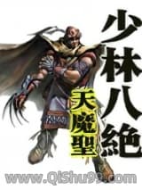 少林八绝小说