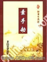 素手劫小说