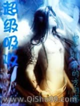超级吸收小说