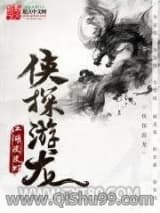 侠探游龙小说