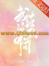 我在这里啊小说
