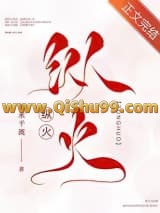 纵火小说