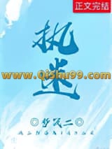 执迷小说