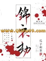 锦衣劫小说