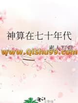 神算在七十年代小说