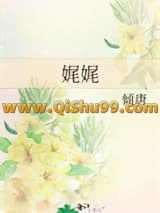 娓娓小说