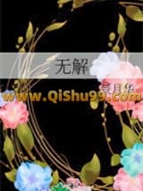 无解小说