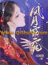风月窈窕小说