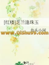 （红楼同人）芝兰逢珠玉小说