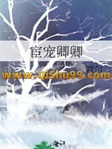 宦宠卿卿小说