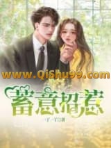 蓄意招惹小说