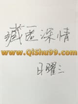 藏匿深情小说