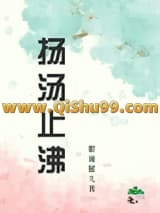 扬汤止沸小说