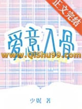爱意入骨小说