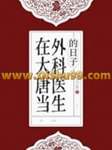 在大唐当外科医生的日子小说
