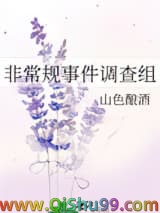 非常规事件调查组小说