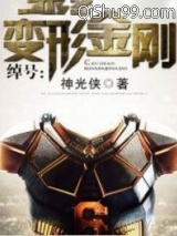 绰号：变形金刚小说