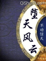 堕天风云小说
