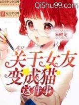 关于女友变成猫这件事小说