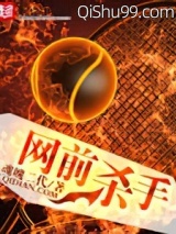 网前杀手小说