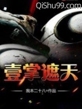 壹掌遮天小说
