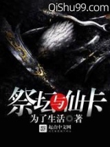 领主王座小说