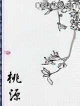 桃源小说